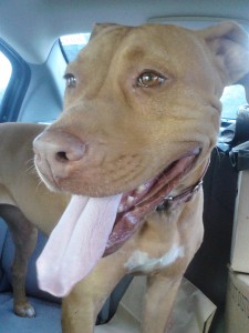 marnie in the car