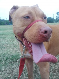 marnie at the park
