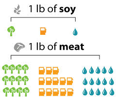 soy vs. meat