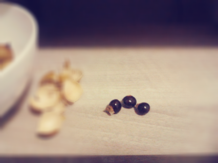 longan seeds