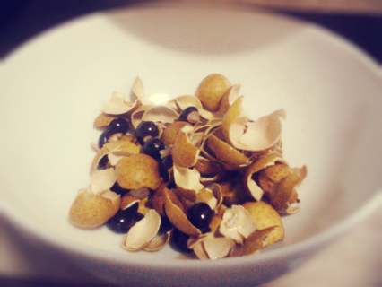 longan shells