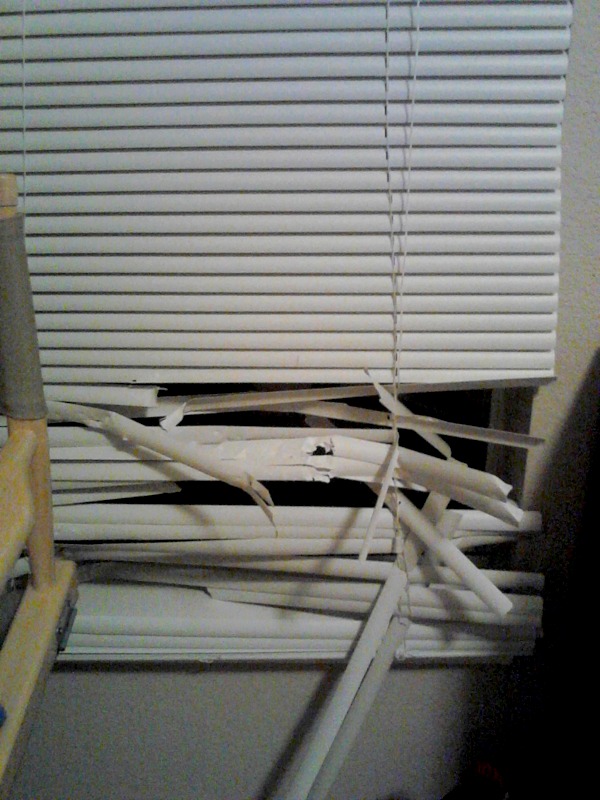 blinds