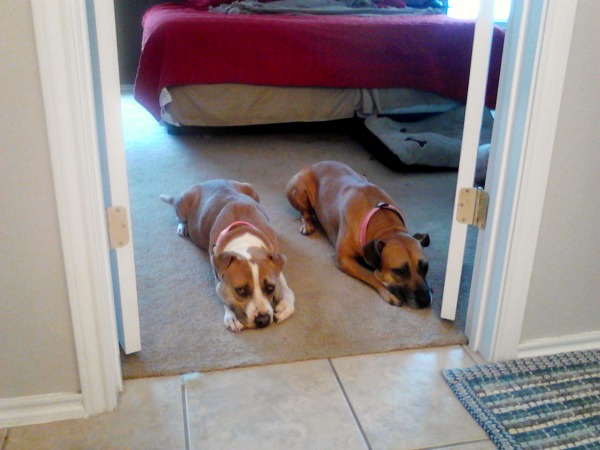 pretty girl and josie