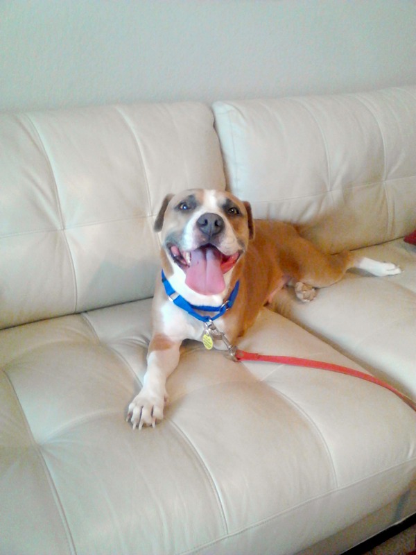smiley face