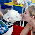 pitbull kissing booth
