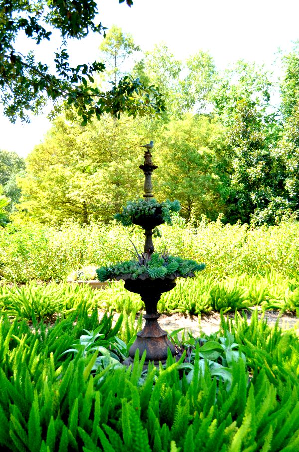 bird bath