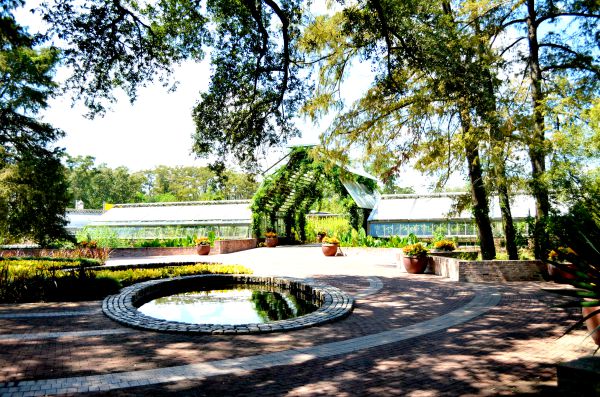 botanical garden