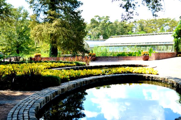 botanical garden