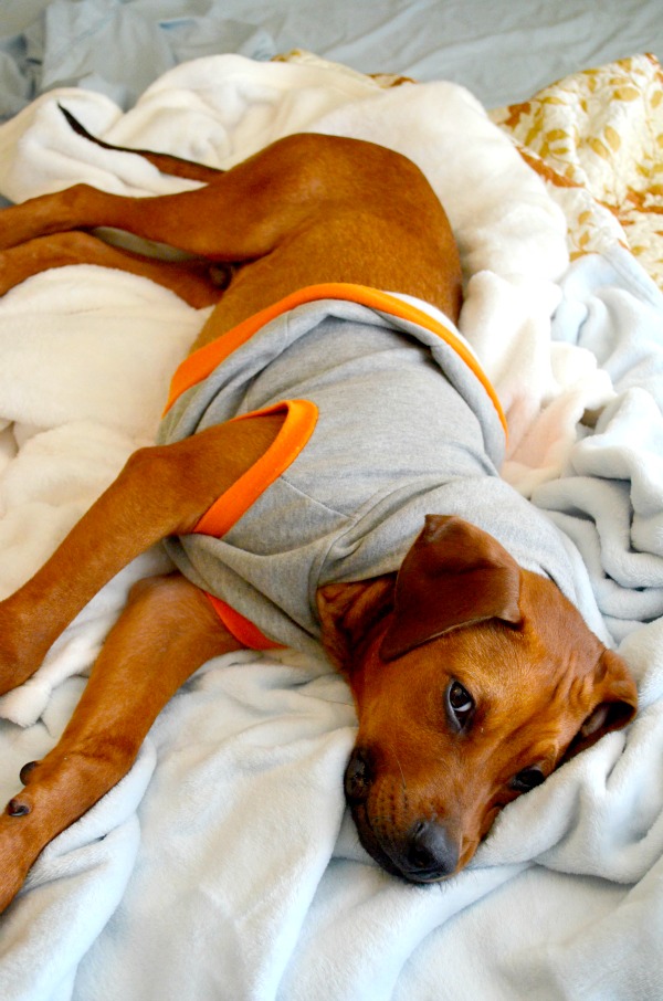 parker in hoodie