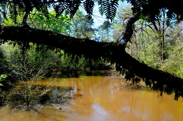 village creek