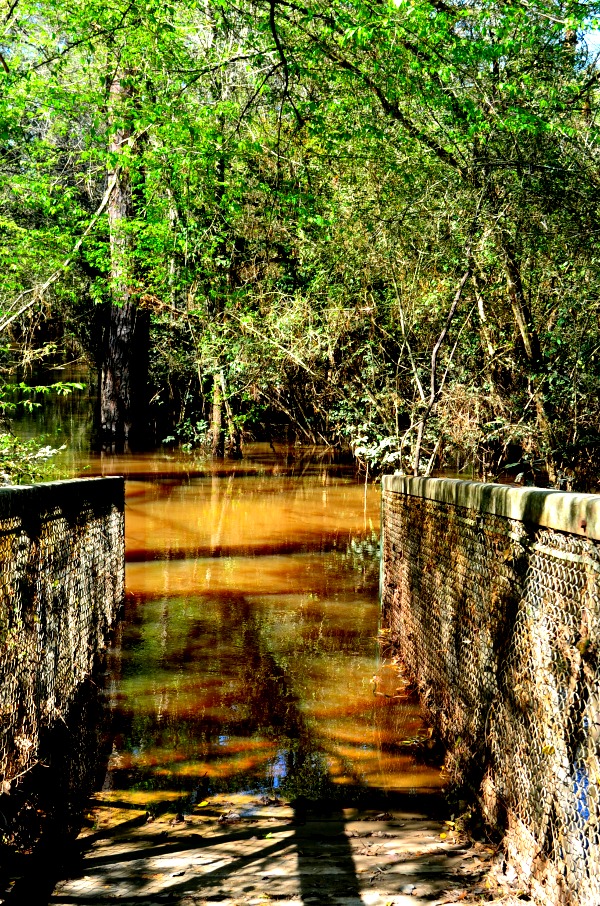 flooded trail