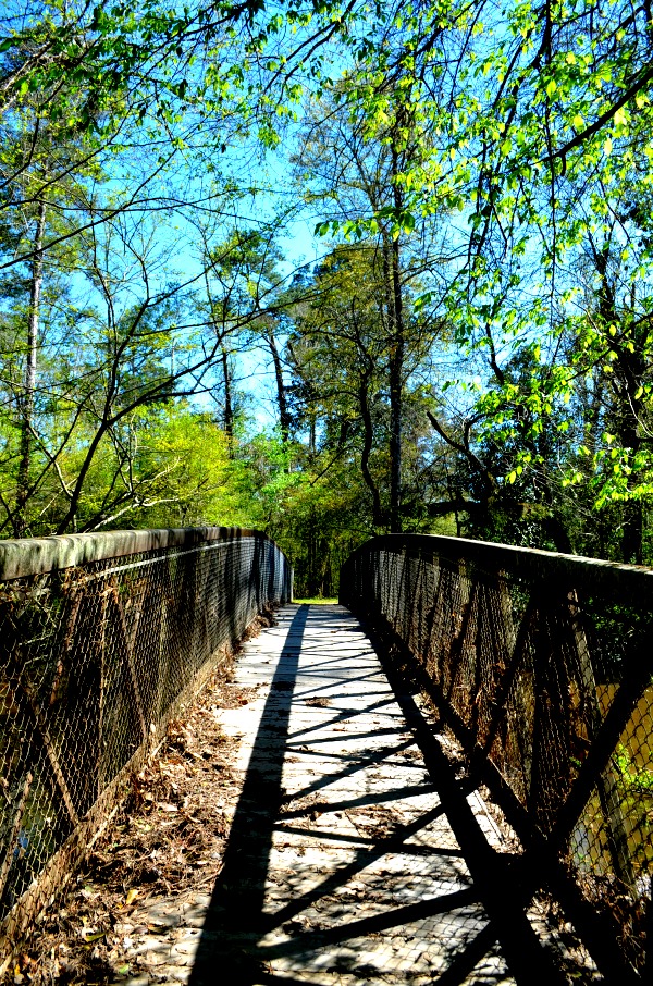 bridge