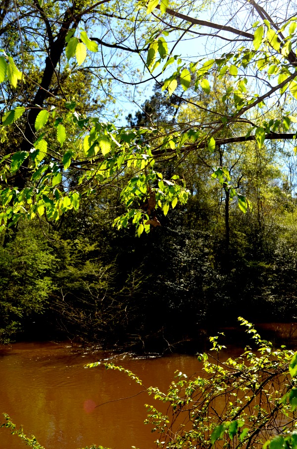 kirby trail