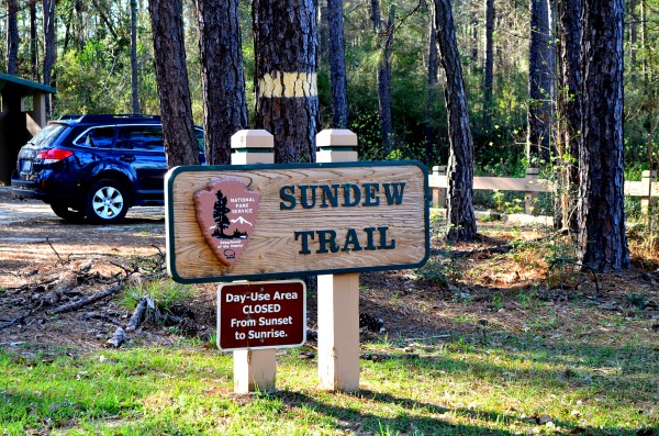 sundew trail