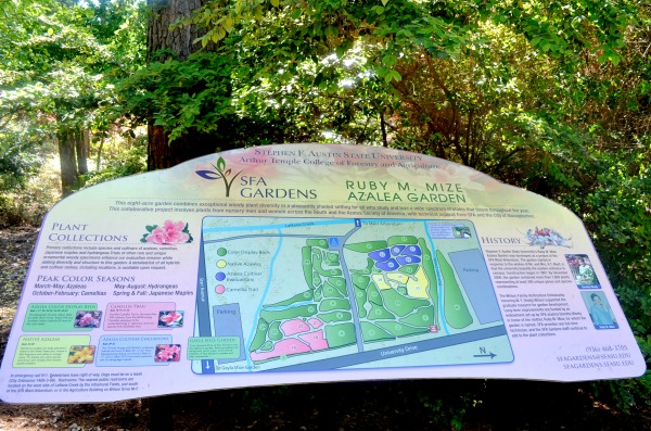 ruby m. mize azalea garden