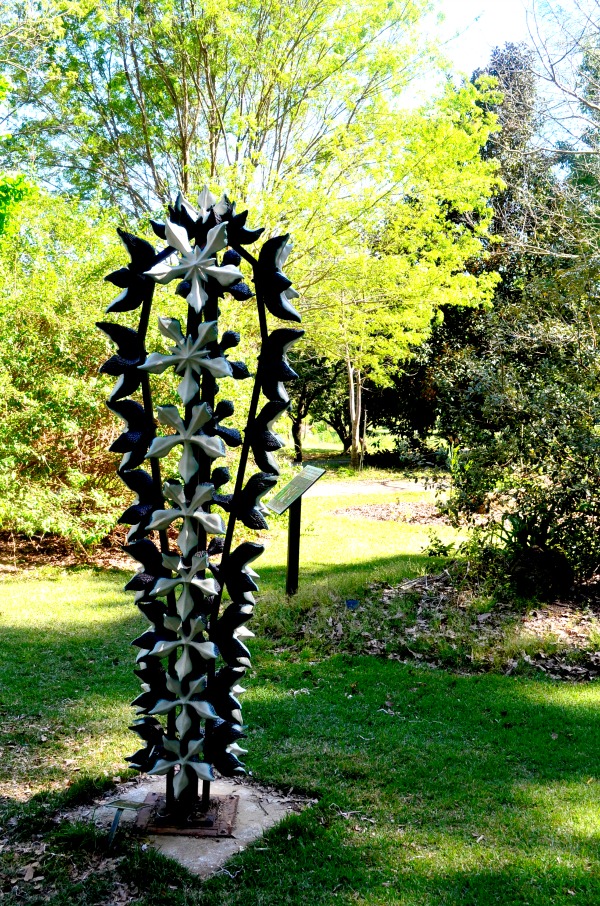 sfa arboretum