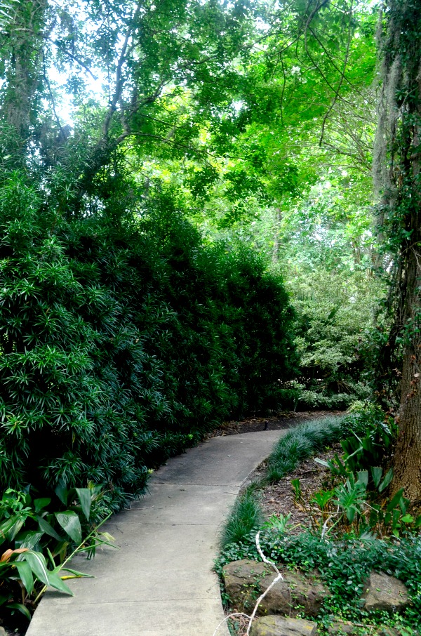 garden trail