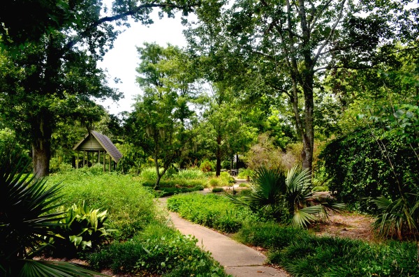 botanical gardens
