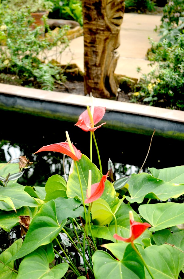 warren loose conservatory
