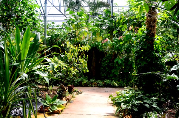 warren loose conservatory
