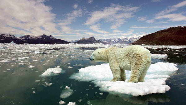 effects of climate change