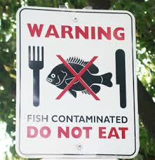 fish contamination