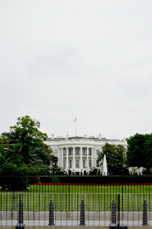 back of white house