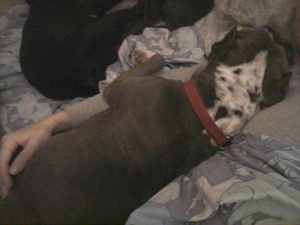 rescue pit