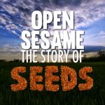 open sesame: the story of seeds
