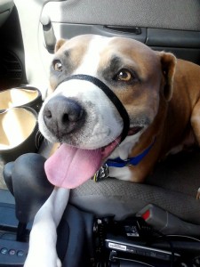 car ride