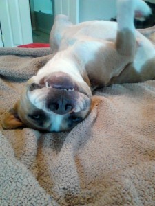 silly face