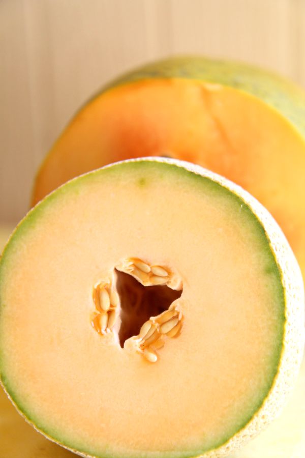 cantaloupe