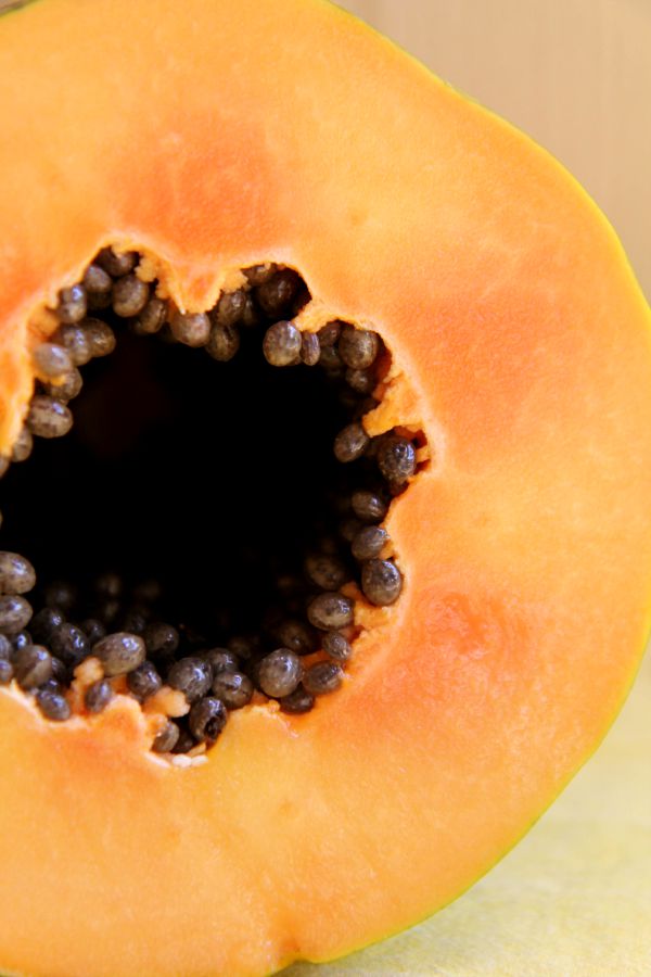 papaya